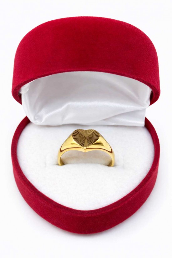 14 Ayar Kalpli Yüzük - KY0684